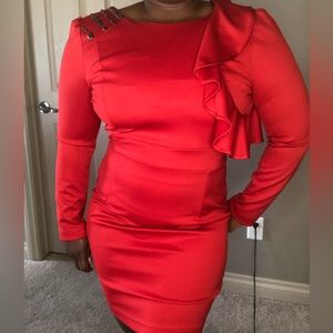 Elegant and sexy form fitted dress.